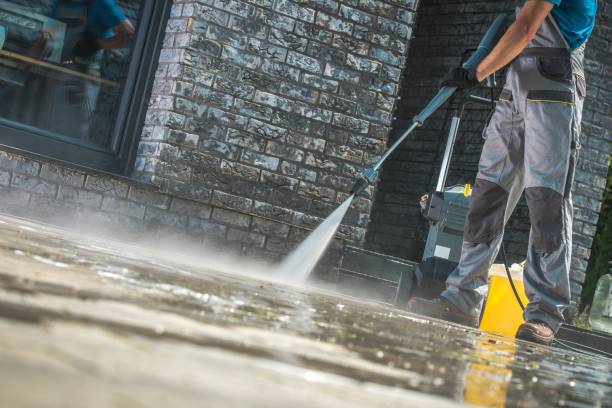 Best Driveway Cleaning and Restoration in Pima, AZ